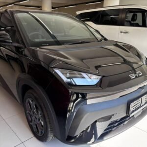 BYD Dolphin Mini front three-quarter exterior view