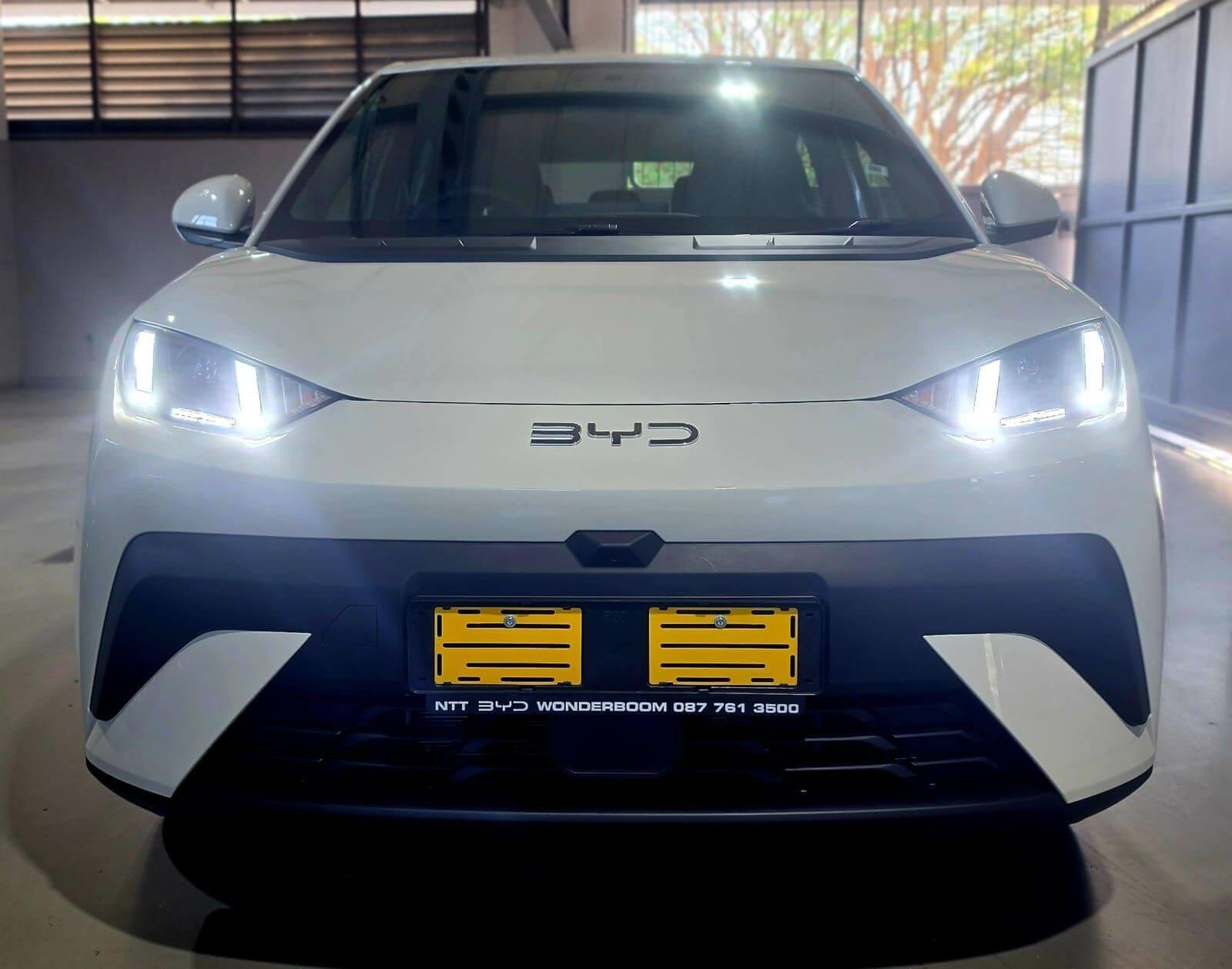 Front view of the BYD DOLPHIN SURF electric car